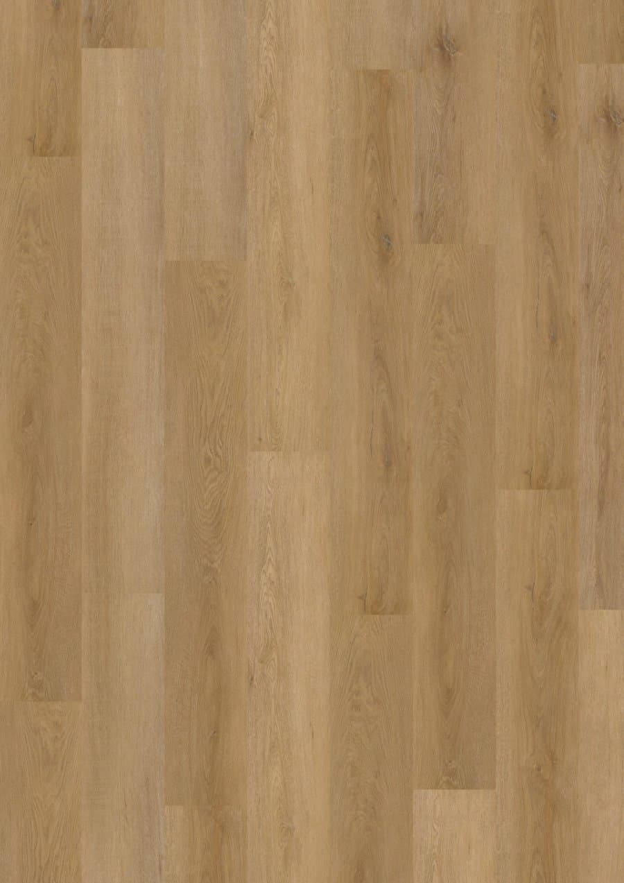 Eco 30 Fine Oak Amber